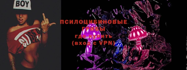 гашик Алексеевка