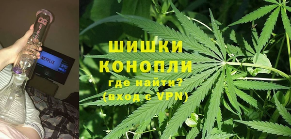 PSILOCYBIN Алексин