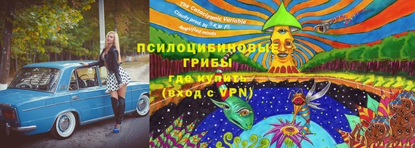 гашик Алексеевка