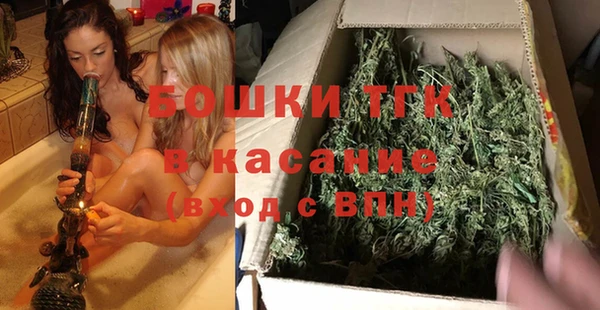 гашик Алексеевка