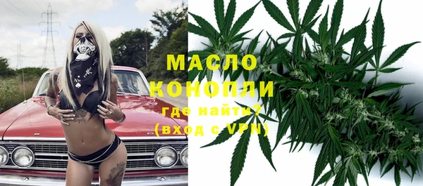 гашик Алексеевка