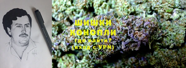 PSILOCYBIN Алексин