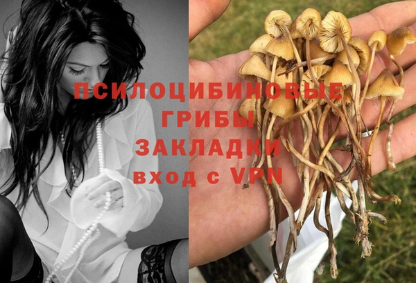 герыч Алзамай