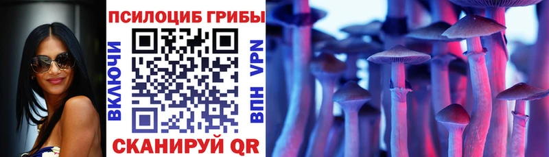 Псилоцибиновые грибы Cubensis  наркота  Мантурово 