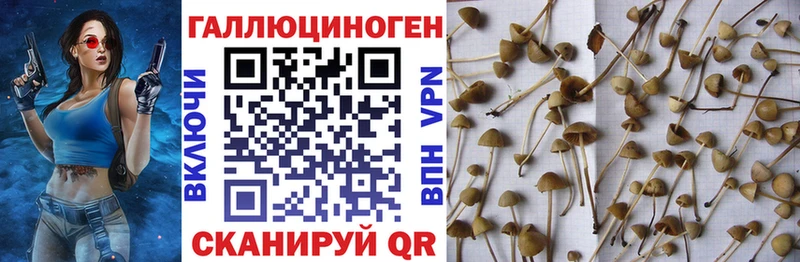 Галлюциногенные грибы мухоморы Мантурово